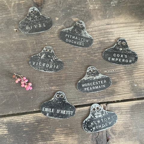 Antique Tree Labels