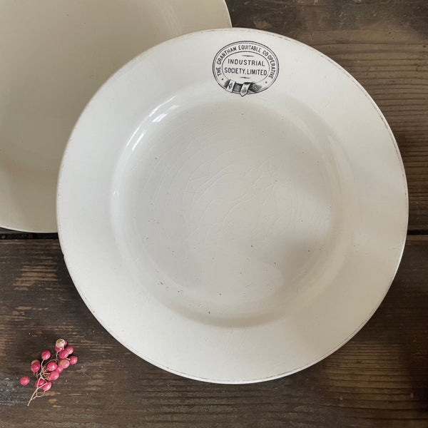 Antique Industrial Society Plates