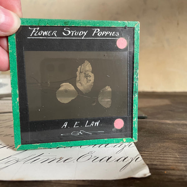 Antique Lantern Slides