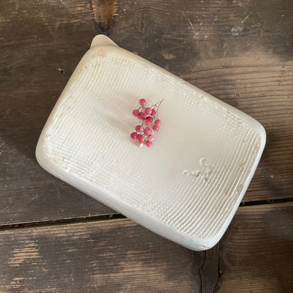 Antique Ceramic Developing Tray