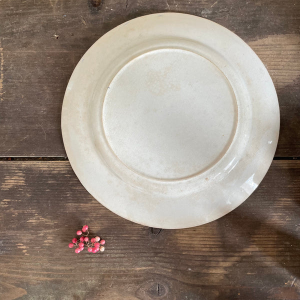 Antique Confectioners Plate