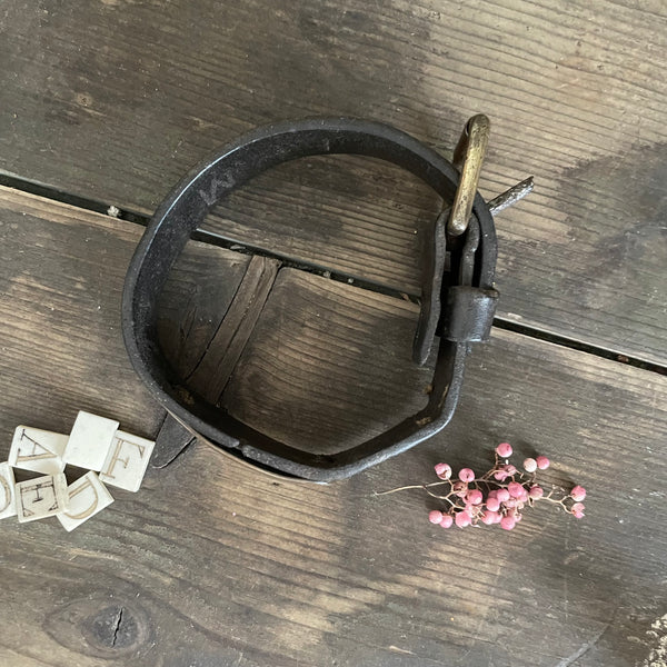 Antique Dog Collar