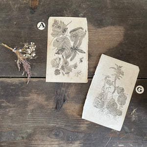 Antique Book Plates