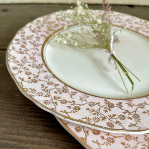 Antique Pretty Pink Plates